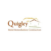 Quigley Attic Mold Remediation Contractors image 1